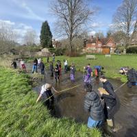 River Tillingbourne 2024