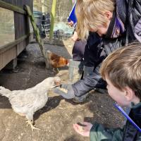 10s Rushall Farm Trip March 2024