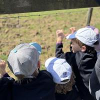 Pre-Prep Farm Trip June 2024