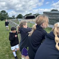 Pre-Prep Farm Trip June 2024