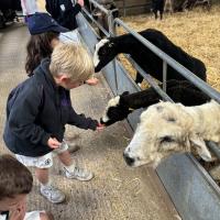 Pre-Prep Farm Trip June 2024