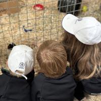 Pre-Prep Farm Trip June 2024