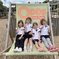Pre-Prep Farm Trip June 2024