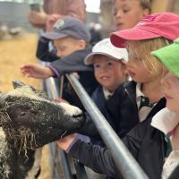 Pre-Prep Farm Trip June 2024