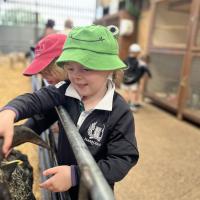 Pre-Prep Farm Trip June 2024