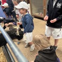 Pre-Prep Farm Trip June 2024