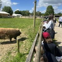 Pre-Prep Farm Trip June 2024
