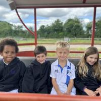 Pre-Prep Farm Trip June 2024