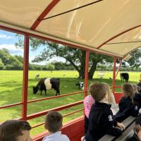 Pre-Prep Farm Trip June 2024