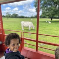 Pre-Prep Farm Trip June 2024