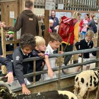 Pre-Prep Farm Trip June 2024