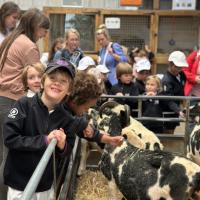 Pre-Prep Farm Trip June 2024