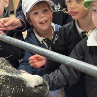 Pre-Prep Farm Trip June 2024