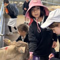 Pre-Prep Farm Trip June 2024