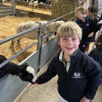 Pre-Prep Farm Trip June 2024
