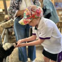 Pre-Prep Farm Trip June 2024