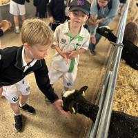 Pre-Prep Farm Trip June 2024