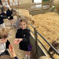 Pre-Prep Farm Trip June 2024