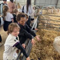 Pre-Prep Farm Trip June 2024