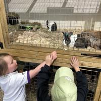 Pre-Prep Farm Trip June 2024