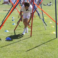 Senior Sports Day 2024