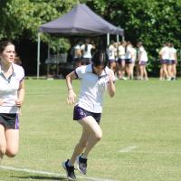 Senior Sports Day 2024