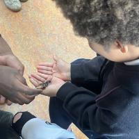 PP Science Week 2025