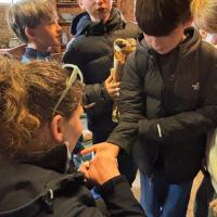 10s French Trip 2025