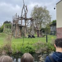 13s Geography Zoo trip 2025