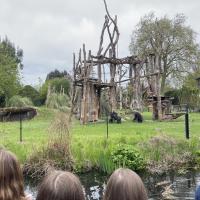 13s Geography Zoo trip 2025