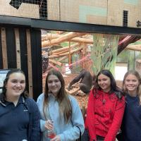 13s Geography Zoo trip 2025