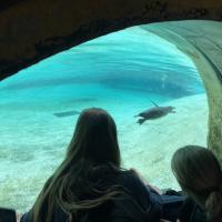 13s Geography Zoo trip 2025