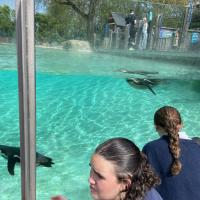 13s Geography Zoo trip 2025