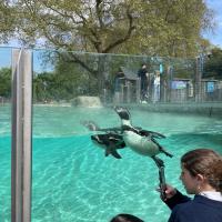 13s Geography Zoo trip 2025