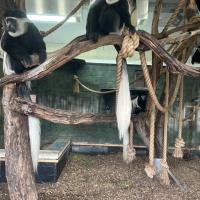 13s Geography Zoo trip 2025