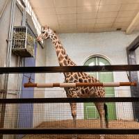 13s Geography Zoo trip 2025