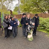 13s Geography Zoo trip 2025