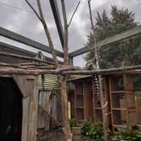 13s Geography Zoo trip 2025