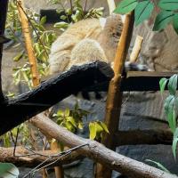 13s Geography Zoo trip 2025