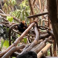13s Geography Zoo trip 2025