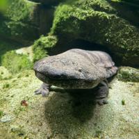 13s Geography Zoo trip 2025