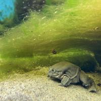 13s Geography Zoo trip 2025