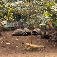 13s Geography Zoo trip 2025