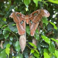 13s Geography Zoo trip 2025