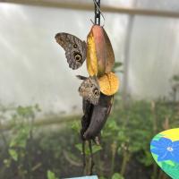 13s Geography Zoo trip 2025