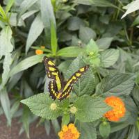 13s Geography Zoo trip 2025