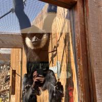 13s Geography Zoo trip 2025