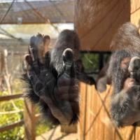 13s Geography Zoo trip 2025