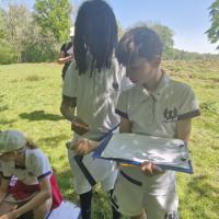 Rushall Farm Trip 2025