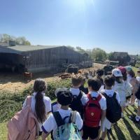 Rushall Farm Trip 2025